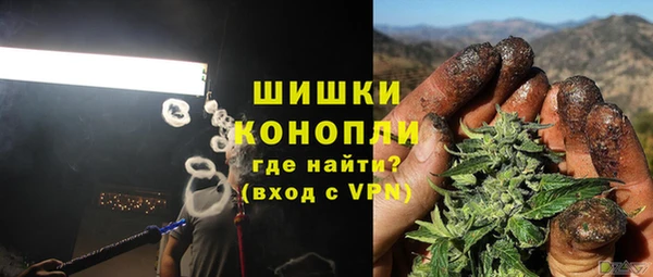 прущая мука Арсеньев
