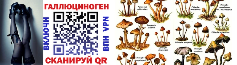 Псилоцибиновые грибы Magic Shrooms  MEGA ссылка  Уяр 